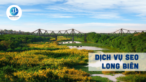 Dịch vụ SEO Long Biên chuyên nghiệp